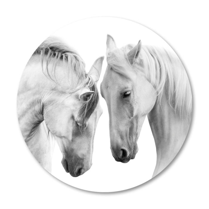 beautiful white horses witte paarden w style wanddecoratie 2