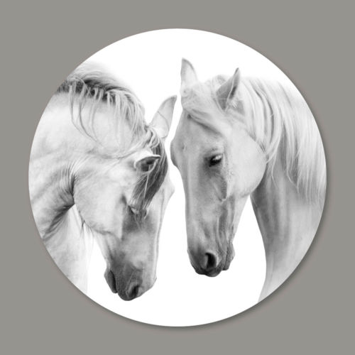 beautiful white horses witte paarden w style wanddecoratie
