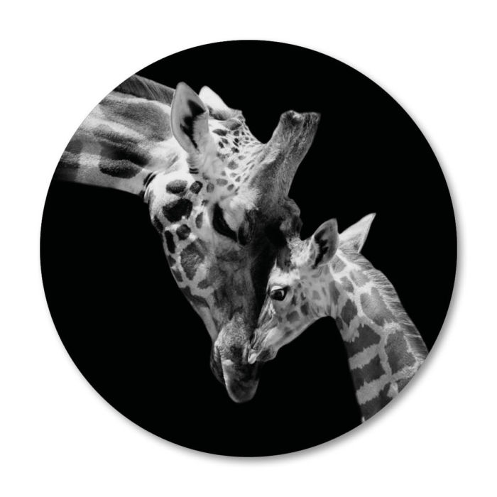 mother and baby giraffe natuur dieren foto interieur muurcirkel 2