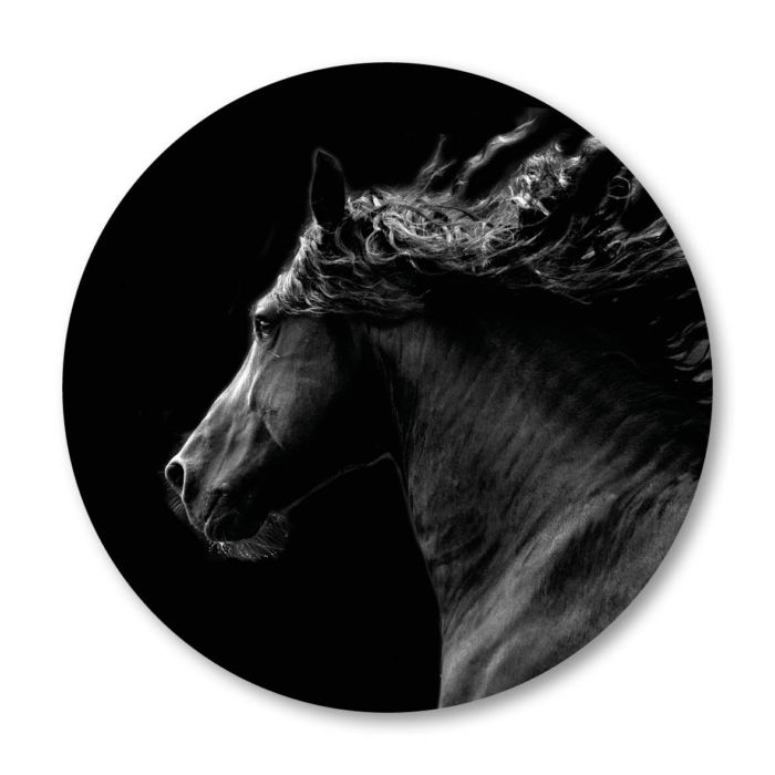 zwart paard black horse wanddecoratie 2