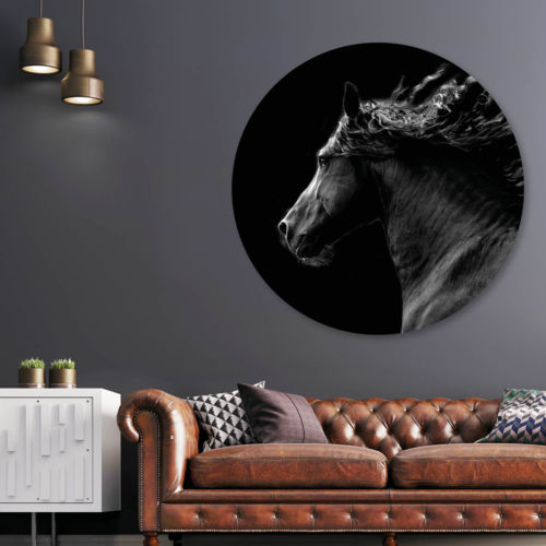 zwart paard black horse wanddecoratie